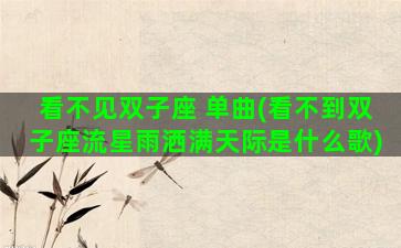 看不见双子座 单曲(看不到双子座流星雨洒满天际是什么歌)